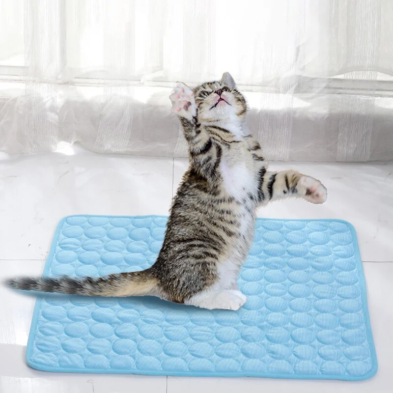 Pet buz paspasları yaz kedi kö - Cooling Blanket Hot Sleepers incelemesi ve fiyatı